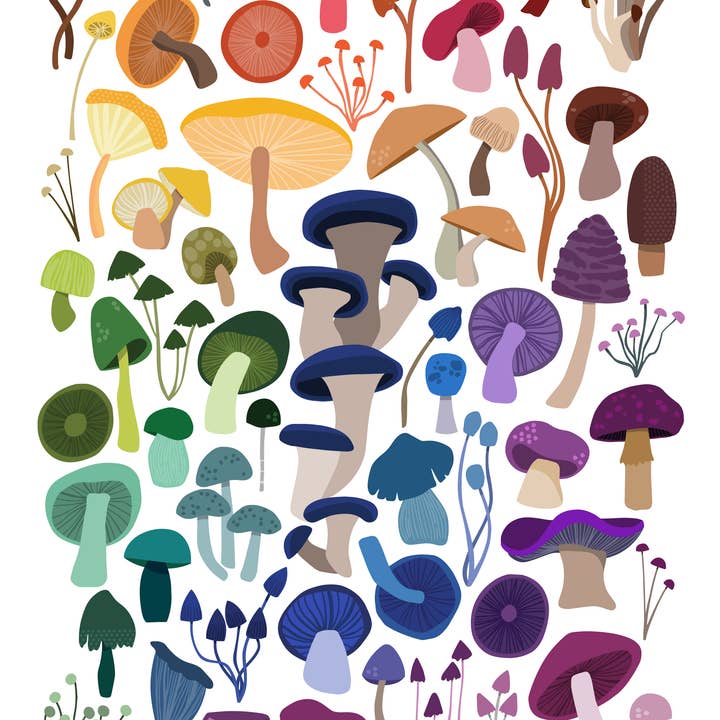 Joanne de Pace Design Studio - Wholesale Art Print - 'Rainbow Mushroom' Art Print