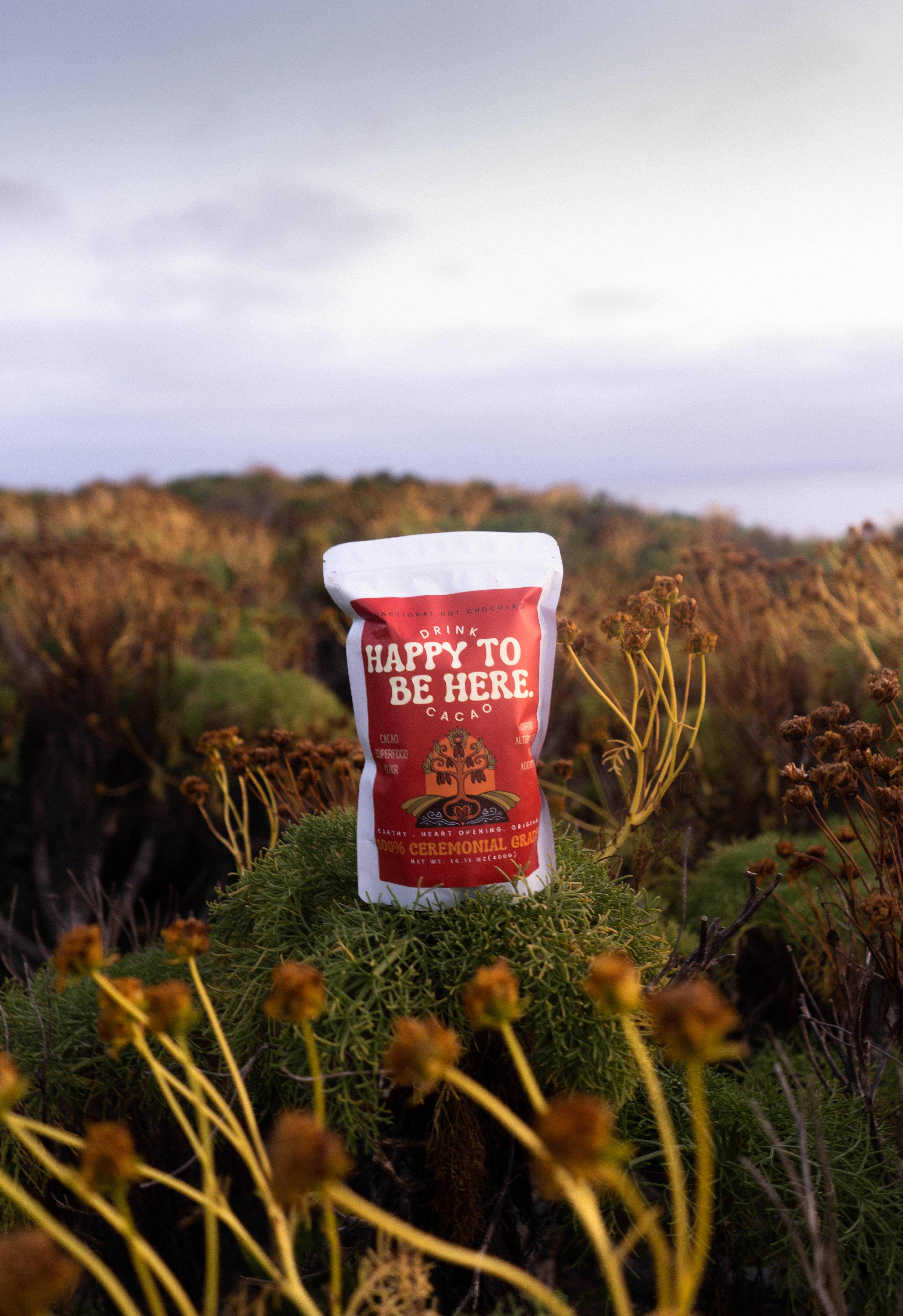 Happy to Be here - Wholesale Hot Cocoa Mix/Kit - 100% Ceremonial Grade2