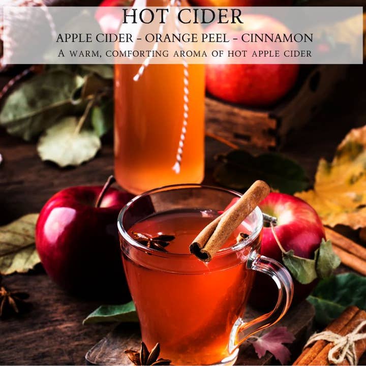 Hot Cider | Soy Candle | Apple Cinnamon Spice | 9oz for wholesale by Begonia & Bench