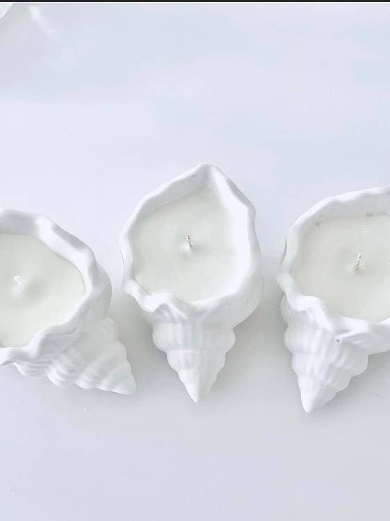 Vela Shell por atacado de Lily Bella Home Fragrance
