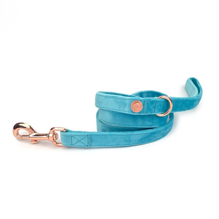 Velvet Dog Leash // Caribbean Blue for wholesale by Holly and Co Australia Pty Ltd