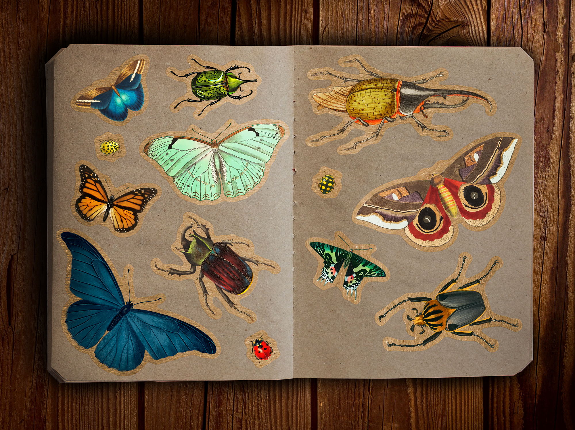 BoyPilot Goods - Wholesale Sticker - Vintage Sticker Sheets - Fairytales, Horror, Alchemy, Nature11