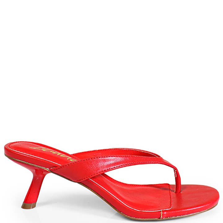 KITTEN HEEL THONG SLIDE SANDAL 12 PAIRS, ANJA 6 12 for wholesale by JOIA ACCESSORIES