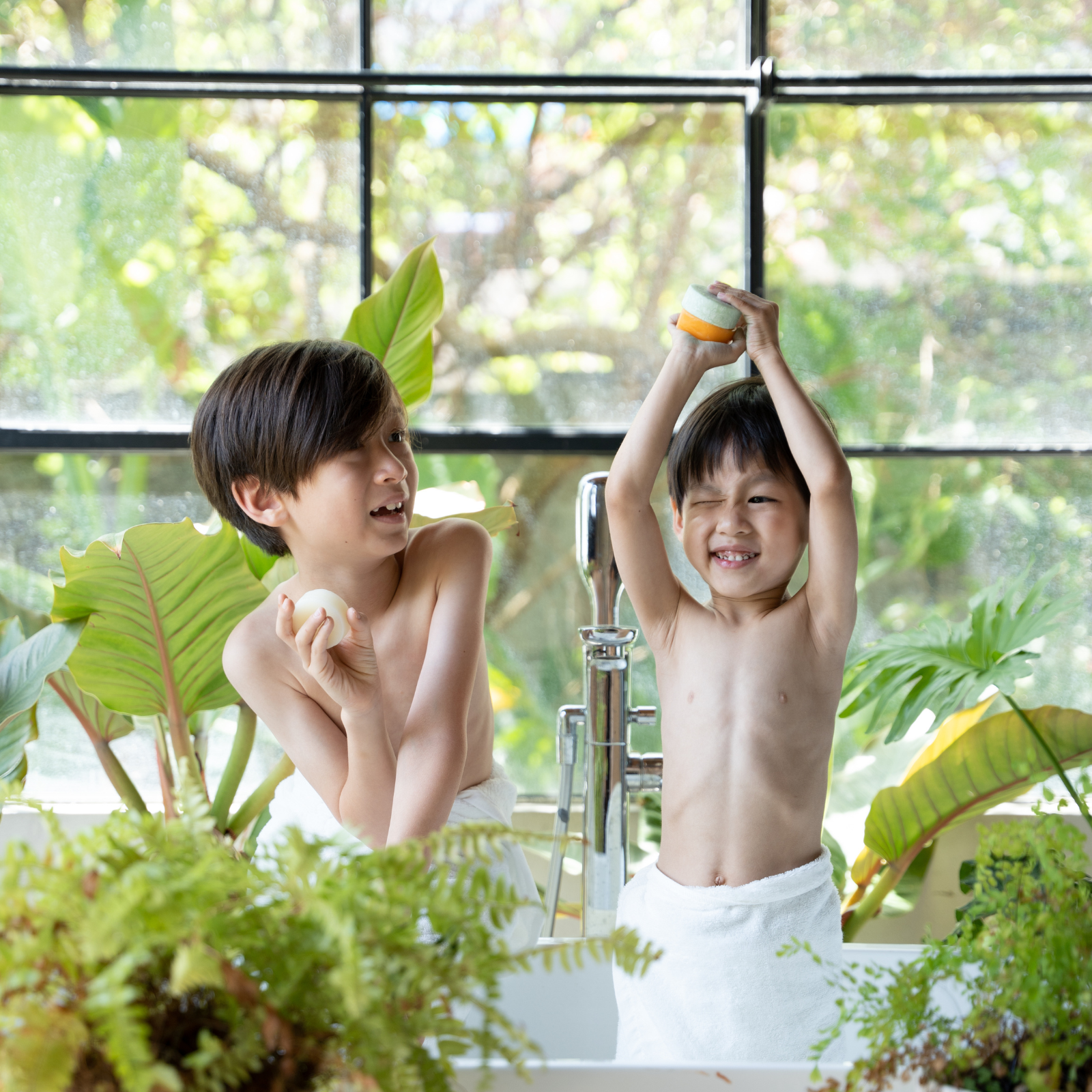 Oliver Flynn Plastic Free Shop - Wholesale Shampoo Puck/Solid Shampoo - Package-Free Shampoo & Conditioner Bar- Box of 603