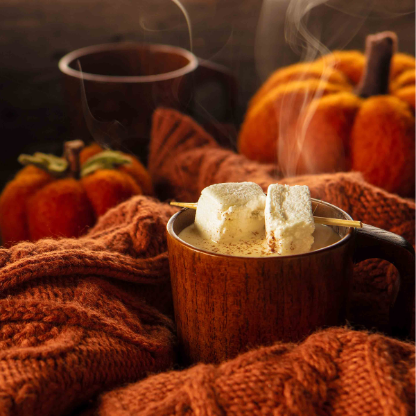 Wind & Willow - Wholesale Hot Cocoa Mix/Kit - Hot Cocoa Assortment (cs 24)1