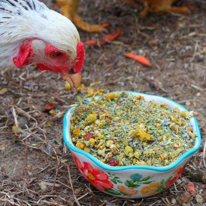 Dahlia Pets – Großhandel Nahrungsergänzungsmittel für Haustiere – nicht für Katzen/Hunde – Duft von Frühlingsbrüten für Hühner im Hinterhof mit Lavendel, Kamille, Ringelblume und vielem mehr!1