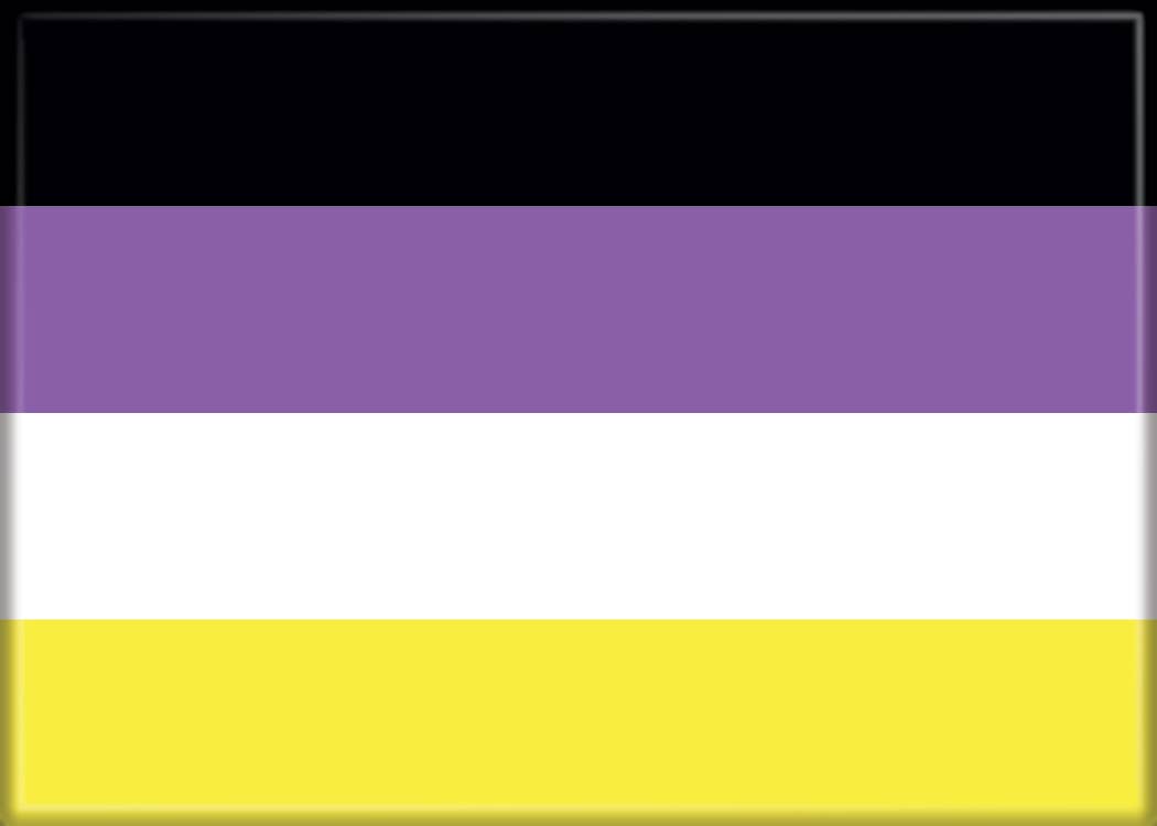 Ata-Boy - Wholesale Magnet - Nonbinary Flag Magnet0