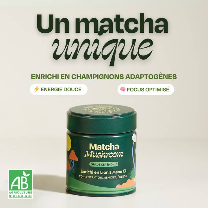 Matcha ai funghi adattogeni per la vendita all'ingrosso da parte di Holi Mushie