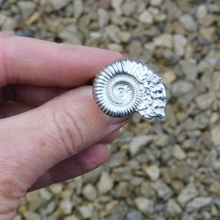 William Sturt Fine Pewter - Wholesale Cocktail/Statement Ring - Twig Scarf Pewter Ring - Ammonite Hand cast By William Sturt2