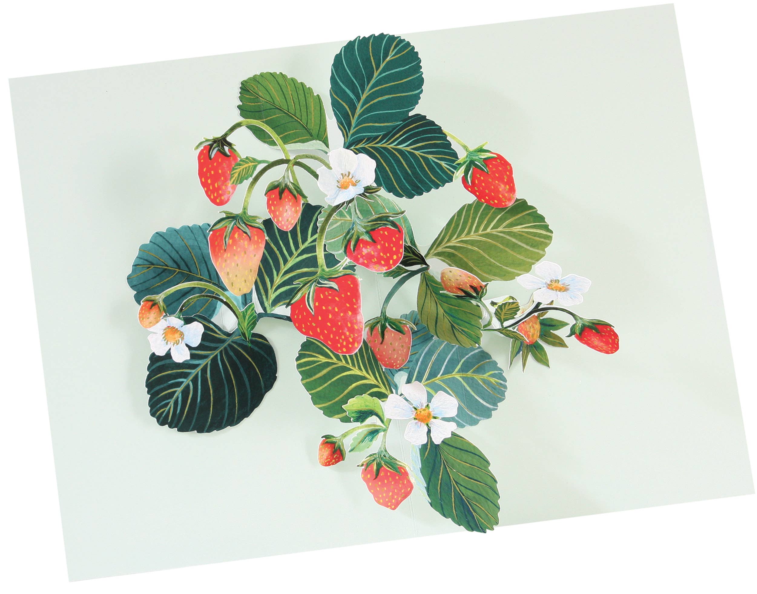 UWP Luxe - Wholesale Retailer Display - Paper & Novelty - Wooden Counter-top Display with Cards - Display & 66 Cards6