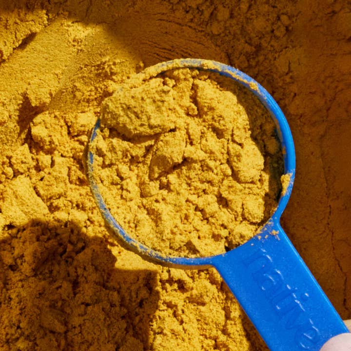 Native Pet - Wholesale Pet Supplement - Dog - Organic Pumpkin Fiber Powder, Digestive Supplement for Dogs1