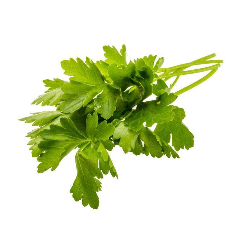 Bentley Seed Co. - Wholesale Plant Seeds - Parsley, Plain Italian Seed Packets2
