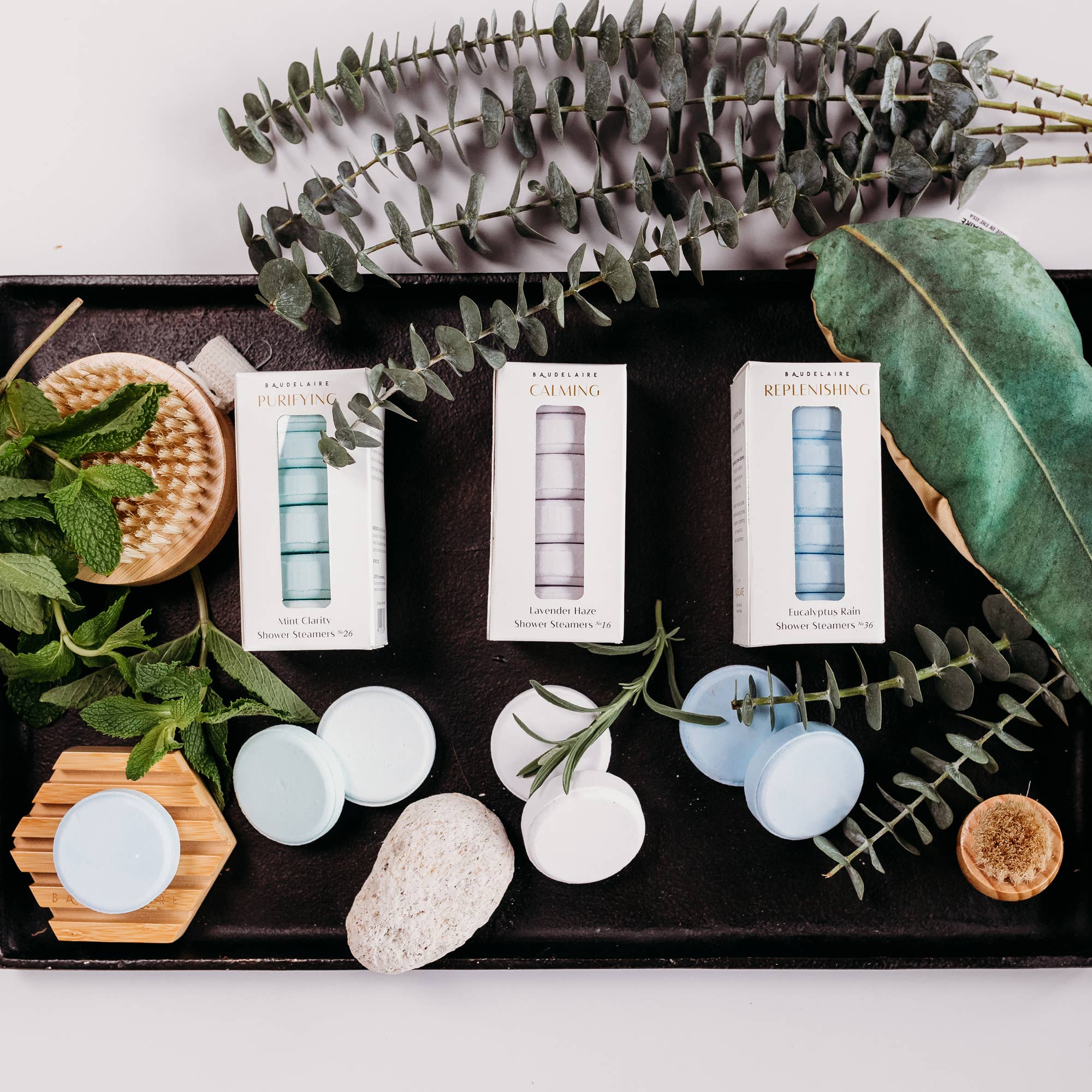 Baudelaire - Wholesale Shower Steamer/Bomb - REPLENISH – Eucalyptus Rain Shower Steamers 7oz4