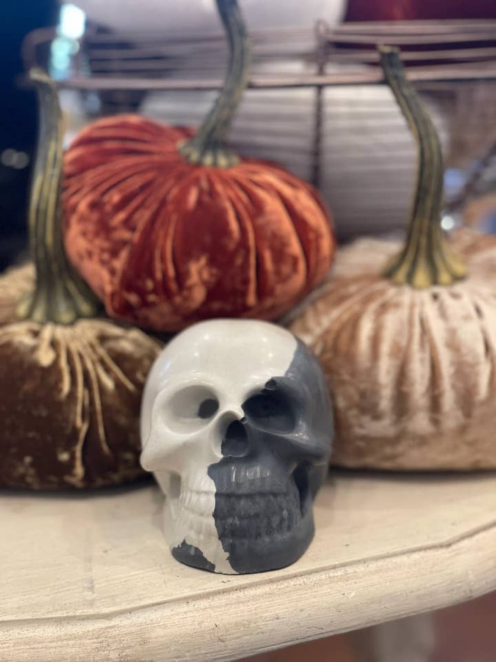 Bones Concrete Skull Decor for wholesale by Queen City Crete