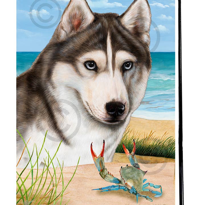 Pet Gifts USA, LLC – wholesale Flag – Siberian Husky Grey & White Blue Eyes Summer Beach Gard...