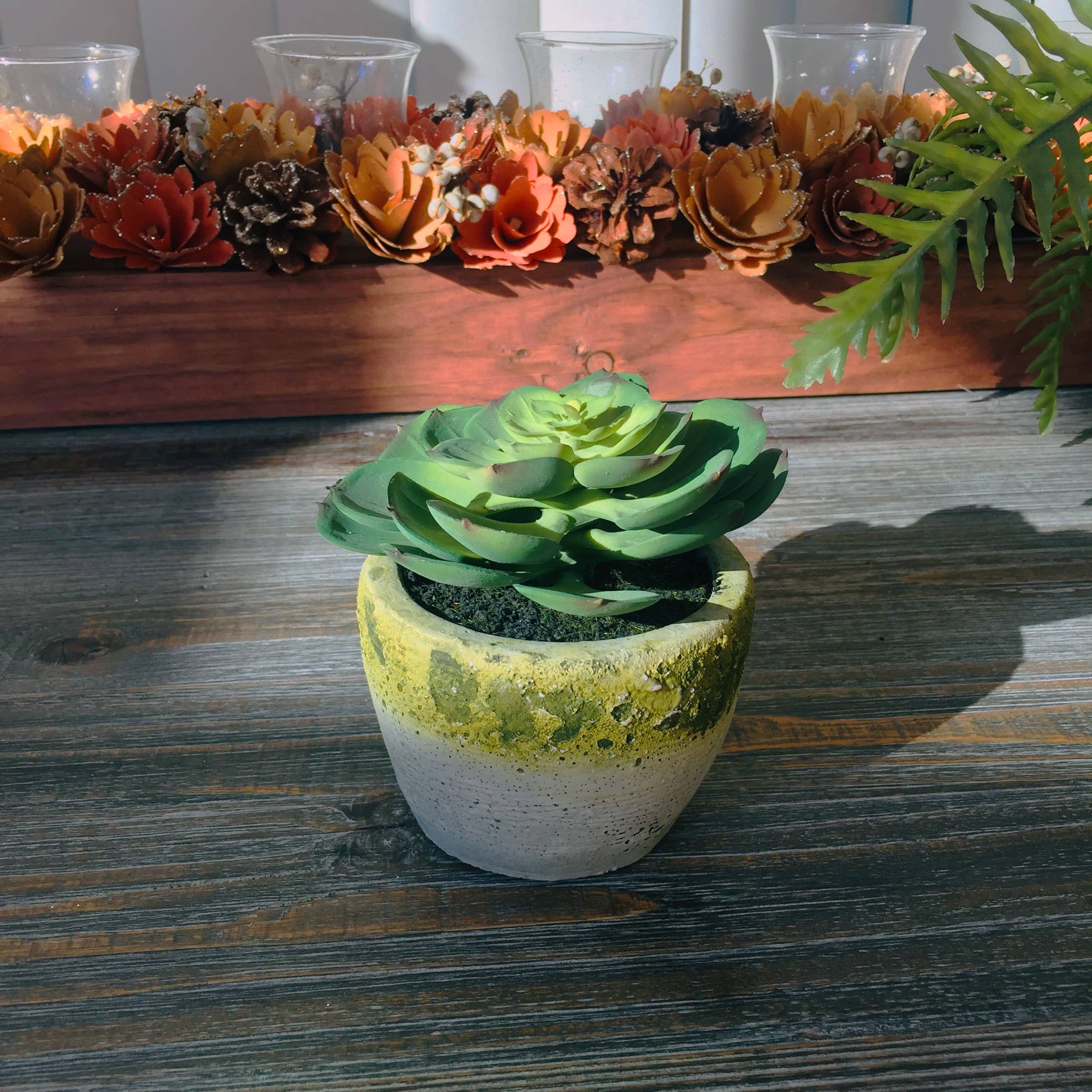 Galt International Company - Wholesale Vetplant - Faux Succulent in geel getinte cementpot1