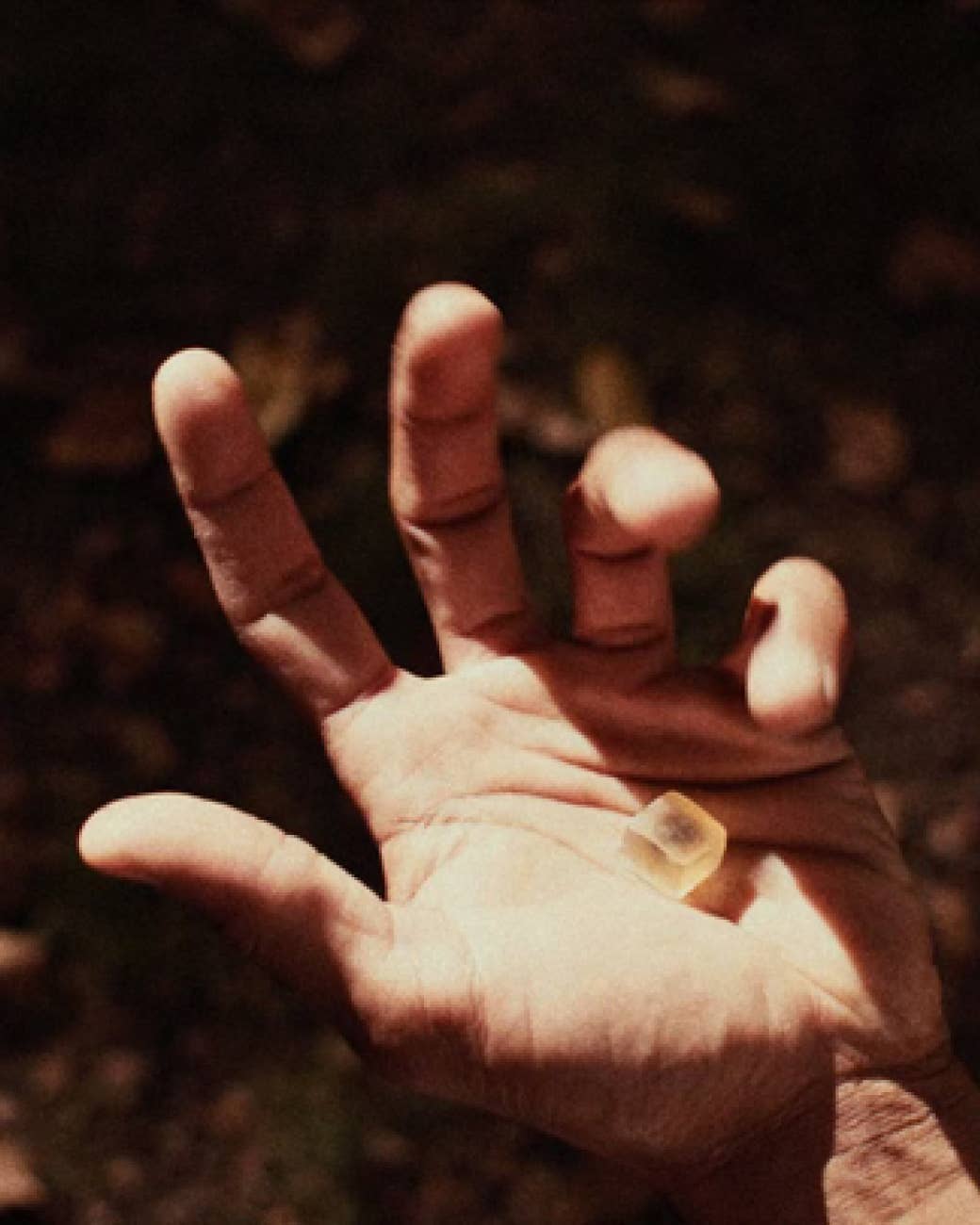 NOON WORLD - Vente Supplément oral/vitamine - NOON Sleep - Gummies aux champignons pour un sommeil naturel2