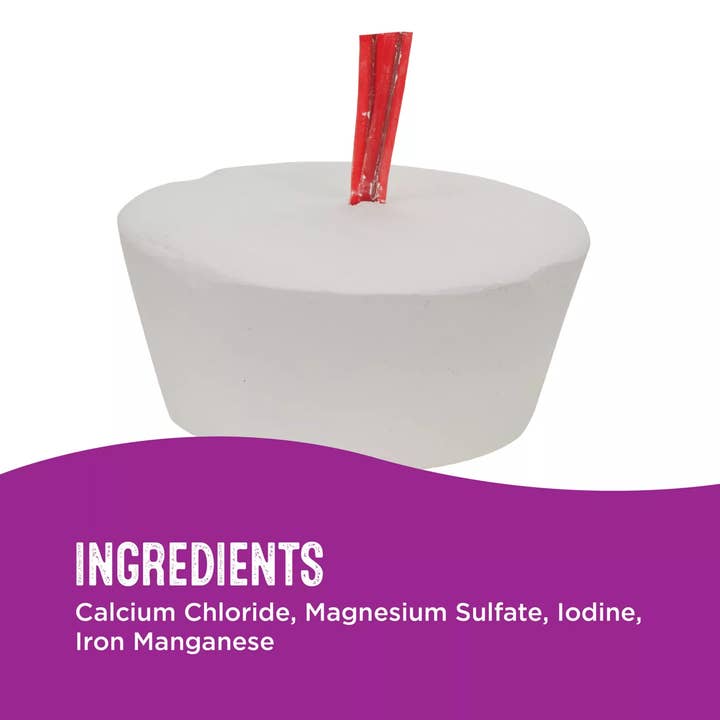 Caitec Inc - Vendita all'ingrosso Altalena/giocattolo per uccelli - Blocco minerale grande Bird Featherland Paradise2