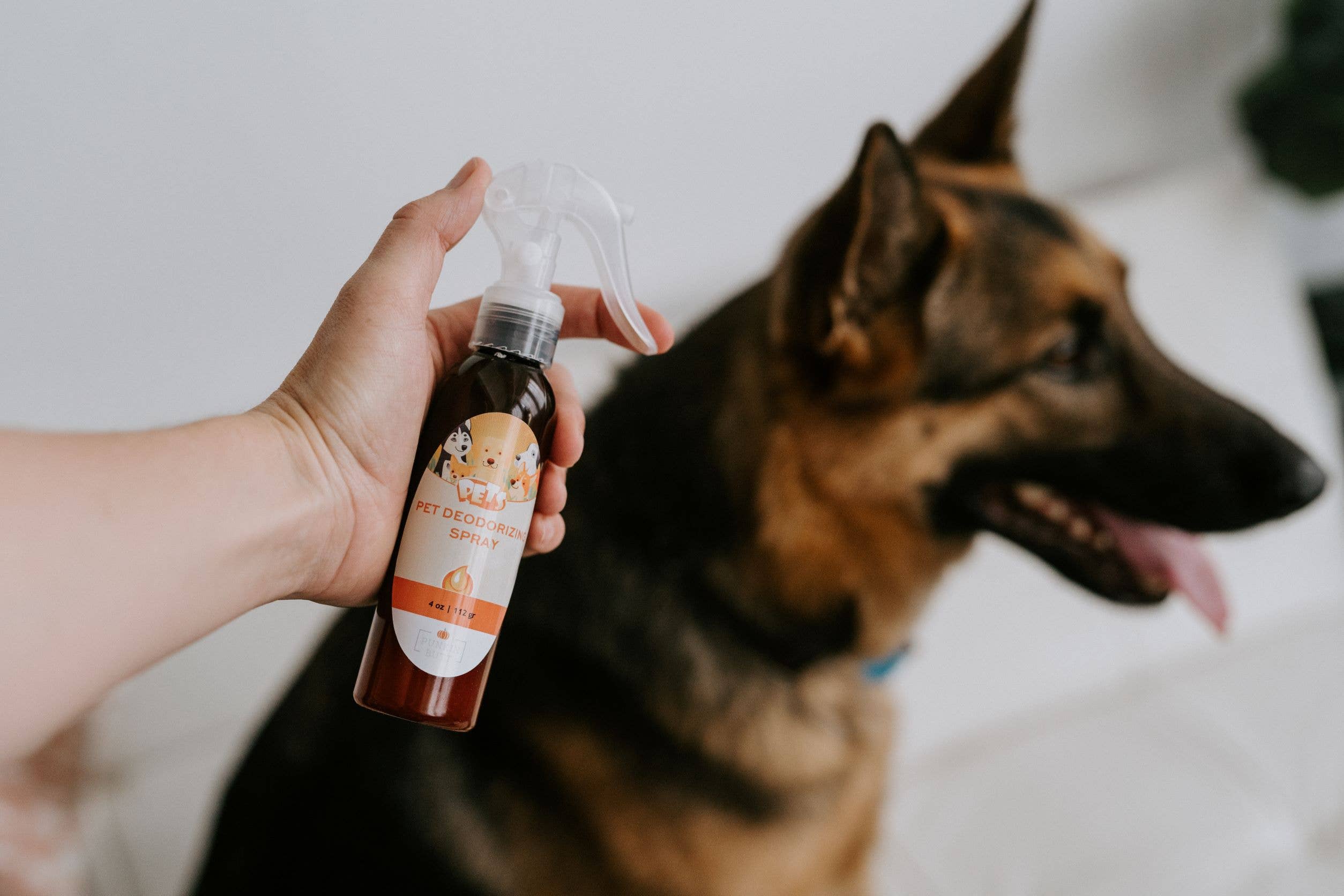 Punkin Butt – wholesale Deodorantspray för djur – Djurdeodoriserande Spray1