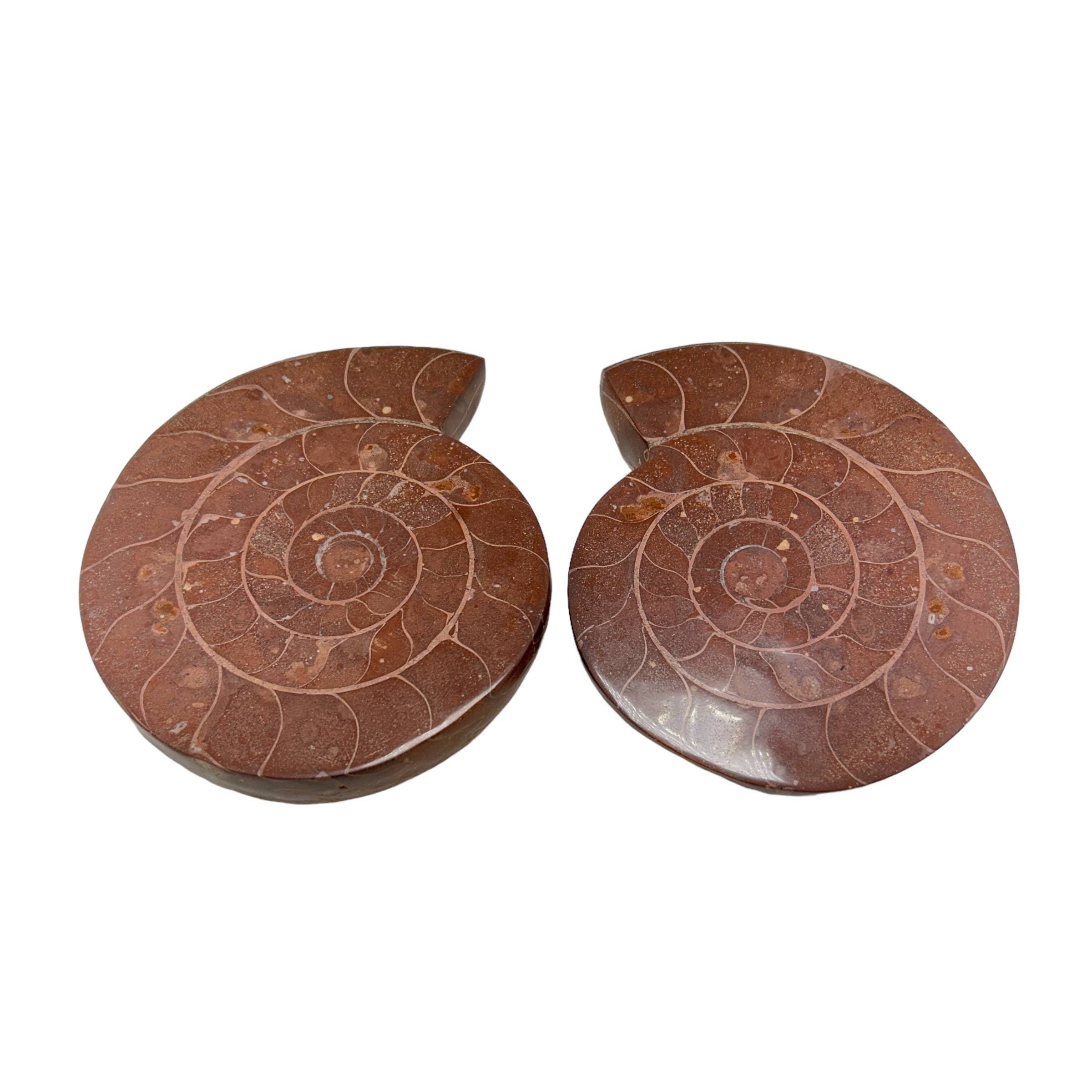 Quasar Gems USA - Wholesale Spiritual Stone/Crystal - Ammonite Pairs (Indonesia)1