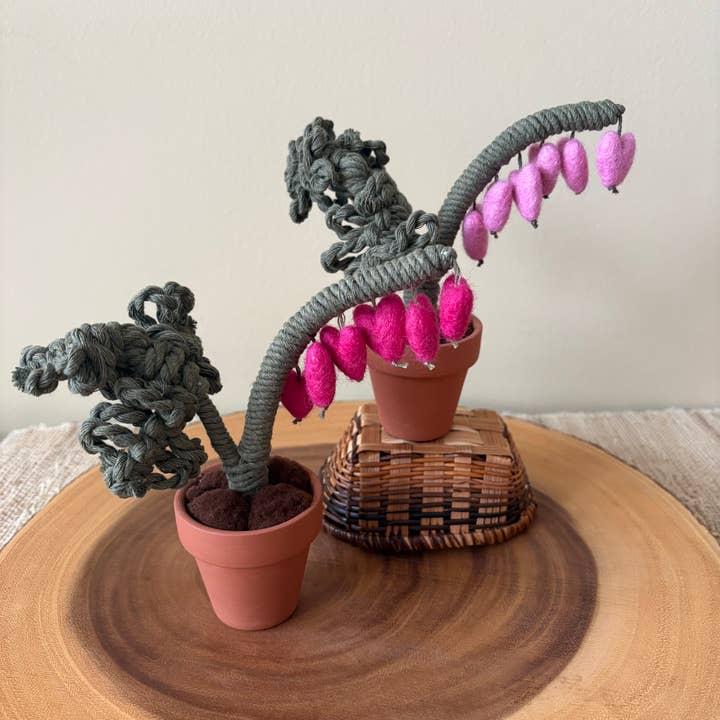 Plante éternelle en macramé et cœur saignant feutré pour la vente par ForgetBKnot