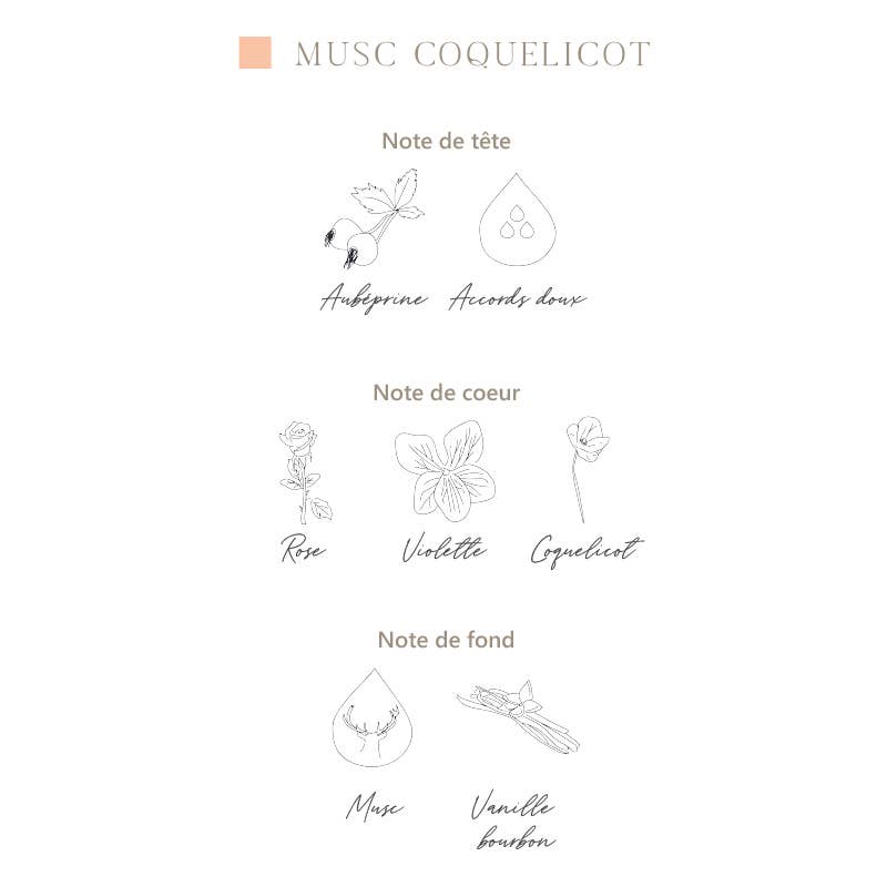 L'ATELIER C - Wholesale Perfume/Eau de Toilette - Body perfumes - x6 Perfumes from Grasse7