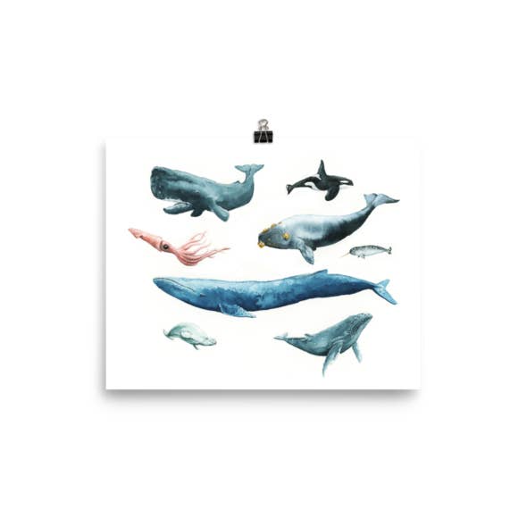 Whale Print for wholesale by Christie Sailors