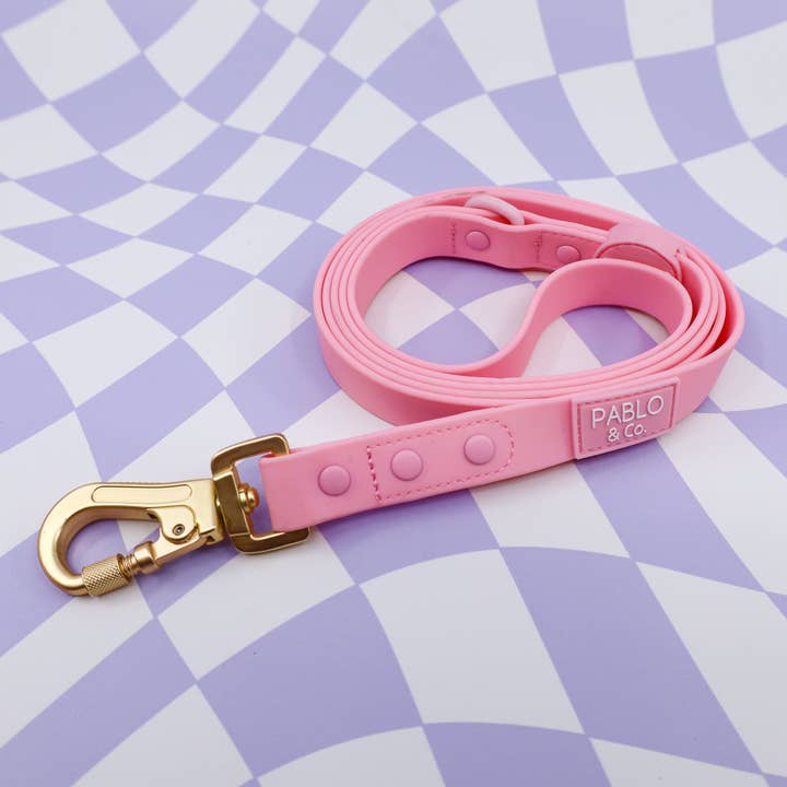 Bubblegum: Waterproof Leash for wholesale by Pablo & Co. Boutique