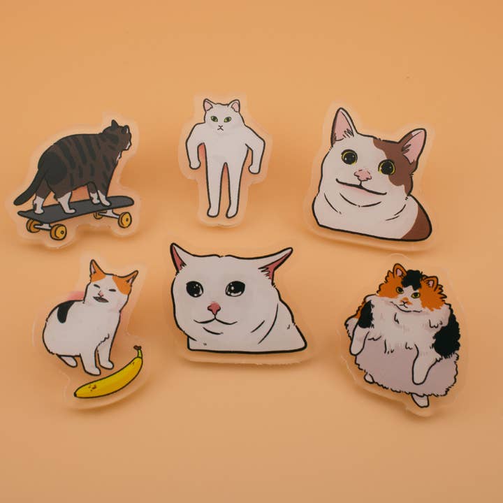 Mintimeli - Wholesale Lapel Pin/Button - Cat Meme Pin Blind Bag (Series 1 & 2) - Mystery Chance Acrylic Pin Cute Funny Animal Humorous Internet Gift