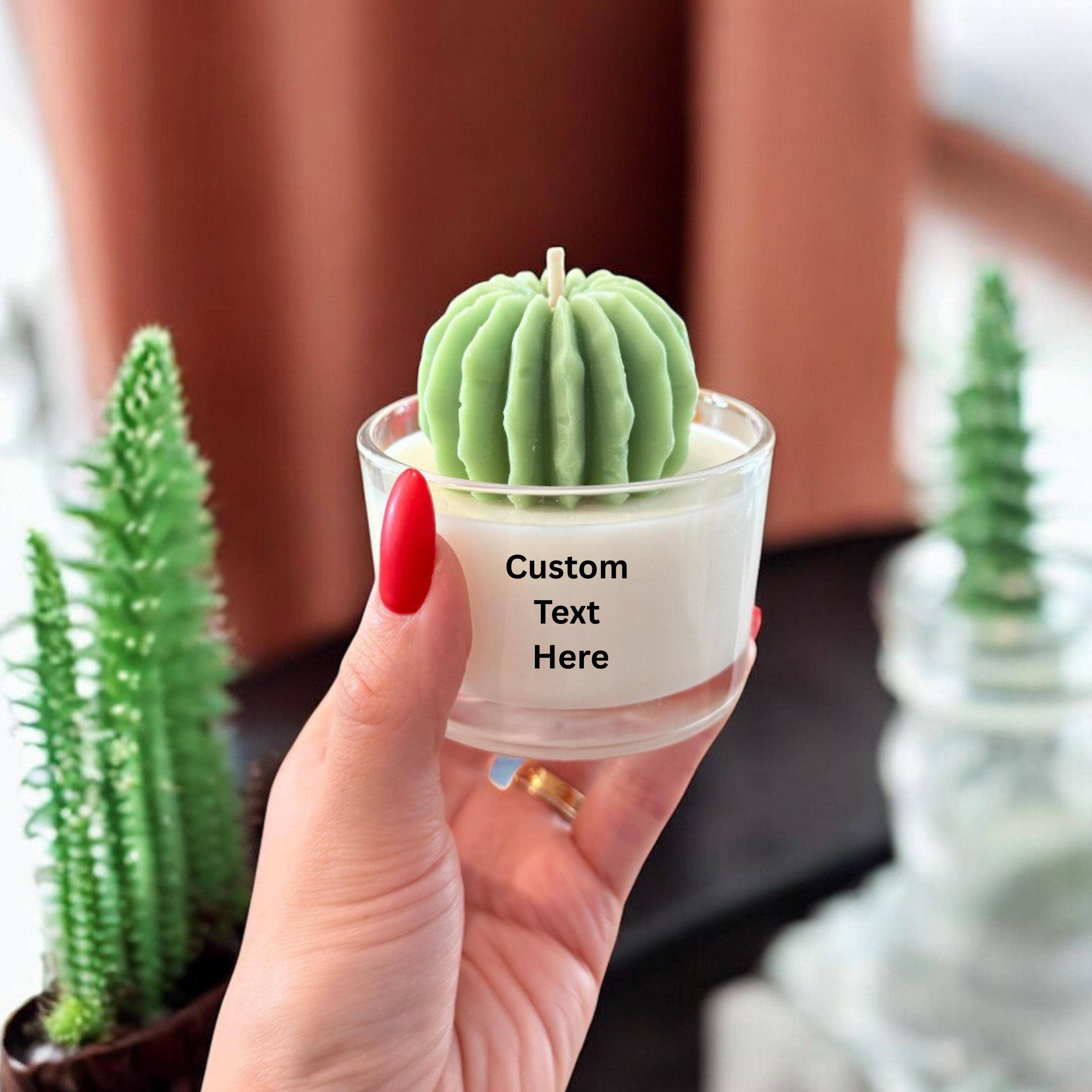 Karly’s Candles - Wholesale Novelty Candle - Handmade Soy Cactus & Succulent Candle Set2
