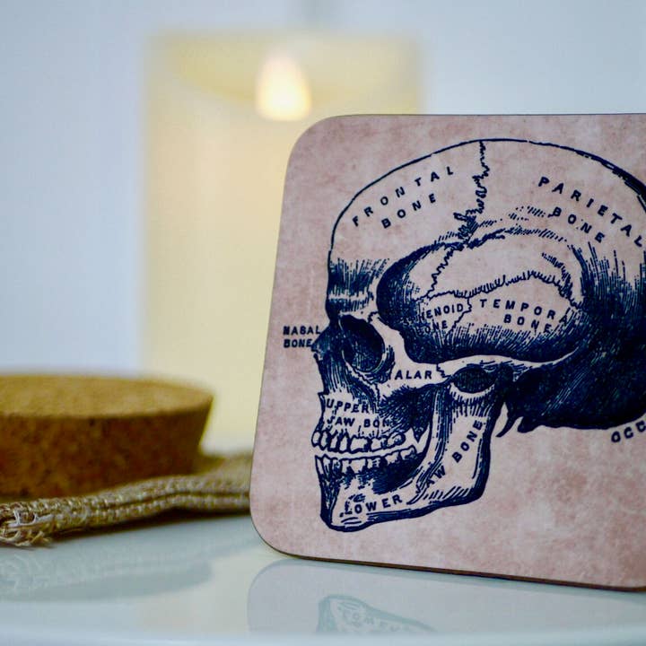 Skull Phrenology Coaster for wholesale by Kitsch Republic
