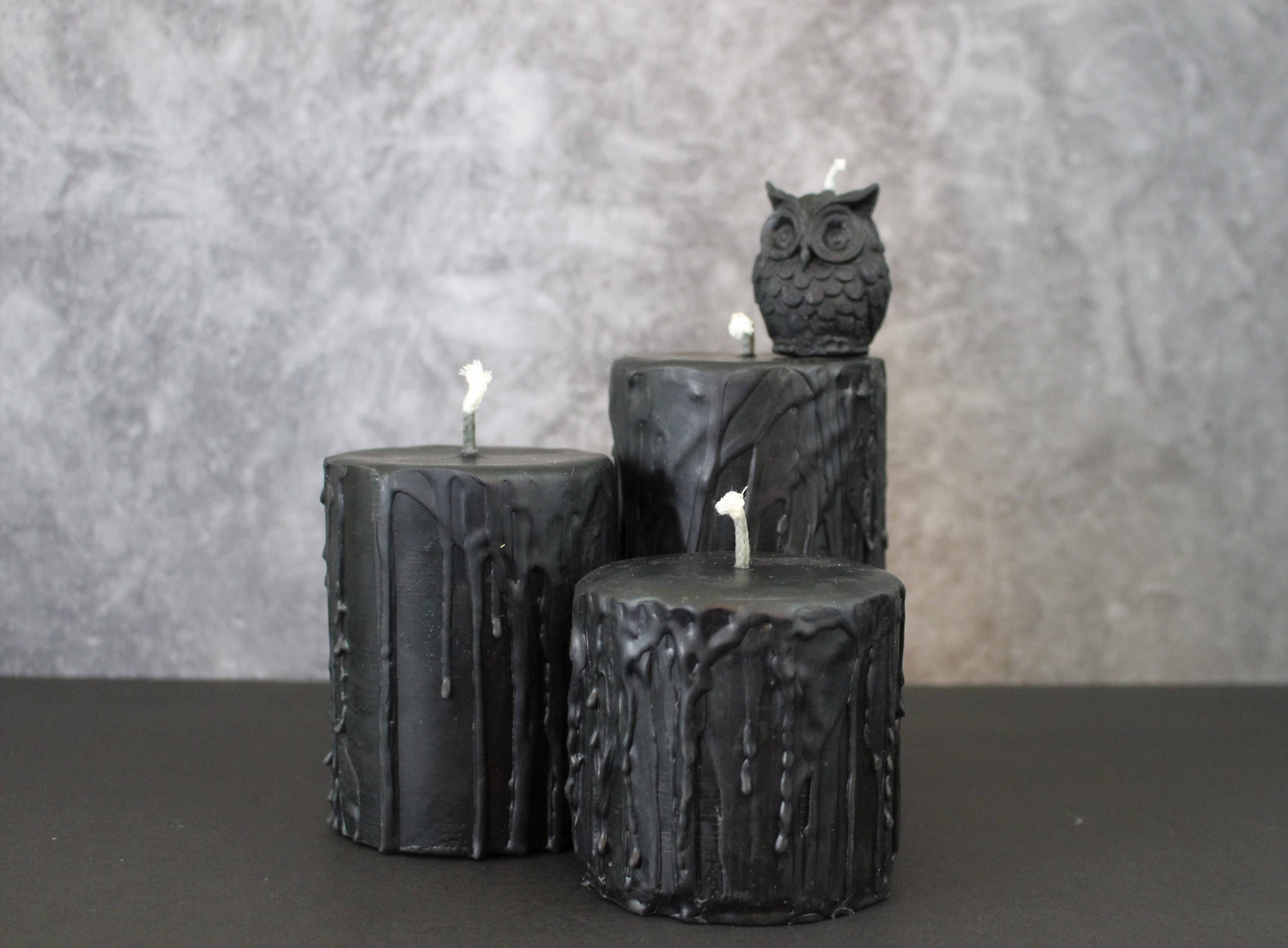 Happy Honey Bee Co. - Wholesale Novelty Candle - Black Owl Beeswax Candle8