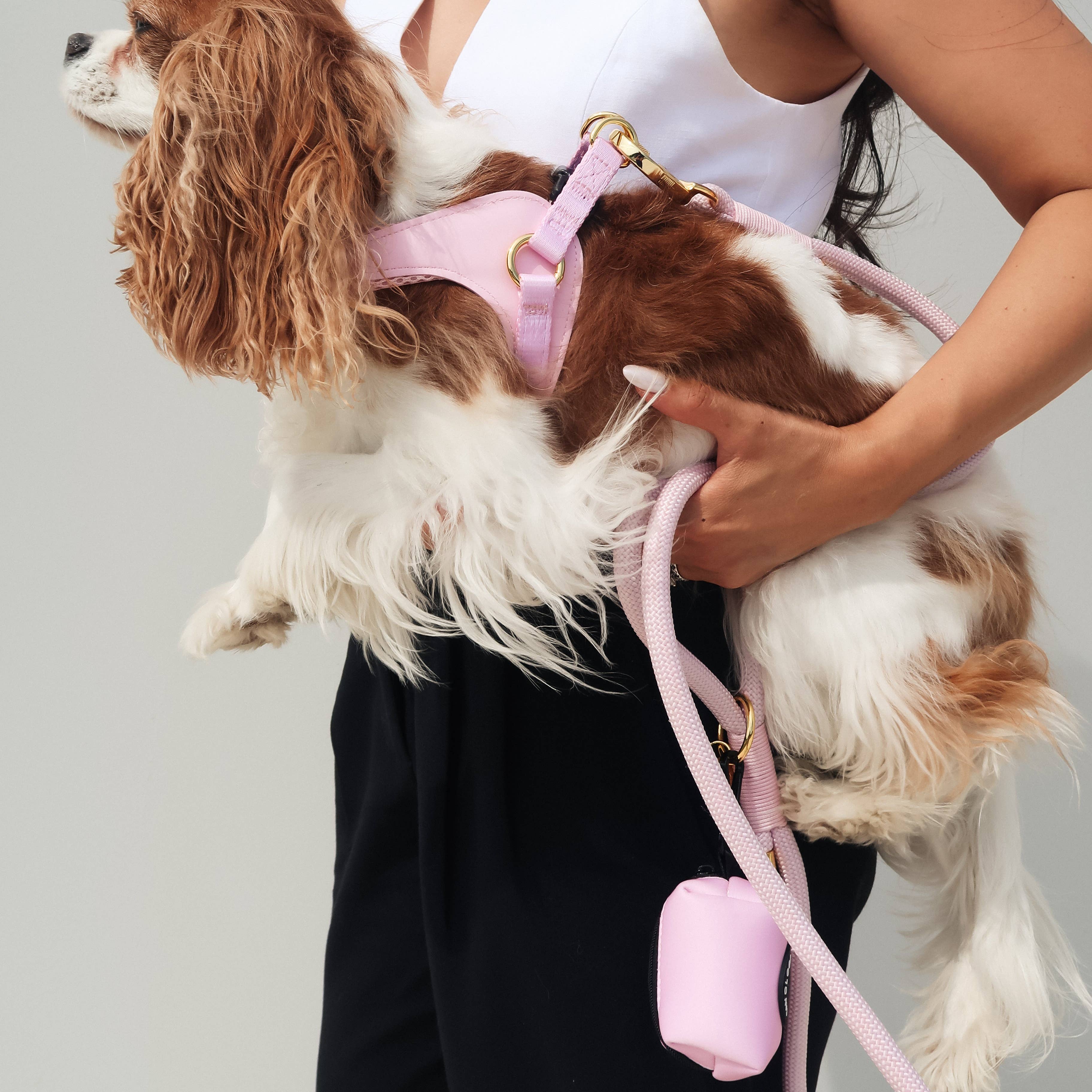 Cavology - Wholesale Pet Harness - Dog - DOG HARNESS EASY-O STEP IN HARNESS - Pink2