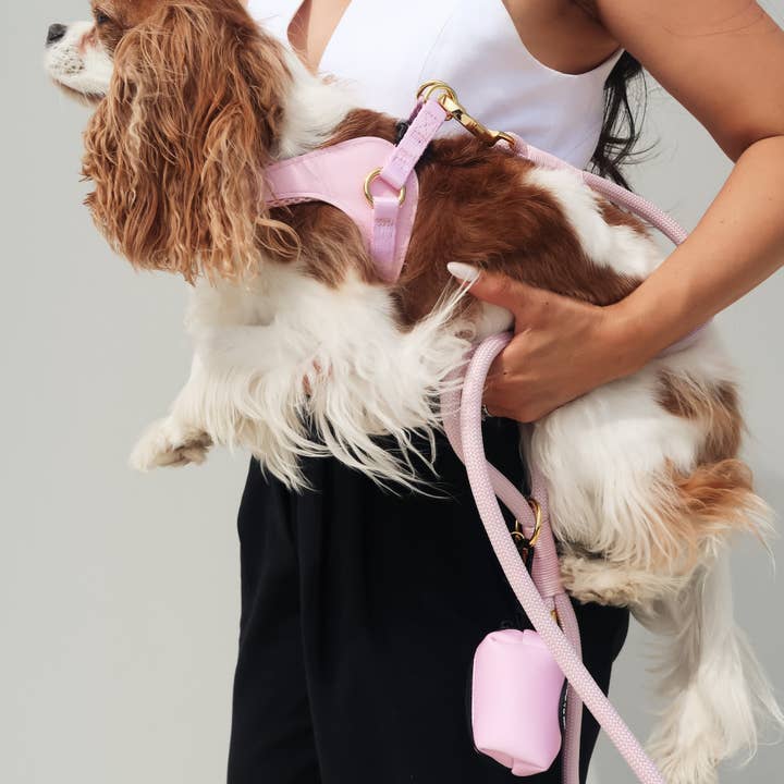 Cavology - Wholesale Pet Harness - Dog - DOG HARNESS EASY-O STEP IN HARNESS - Pink2