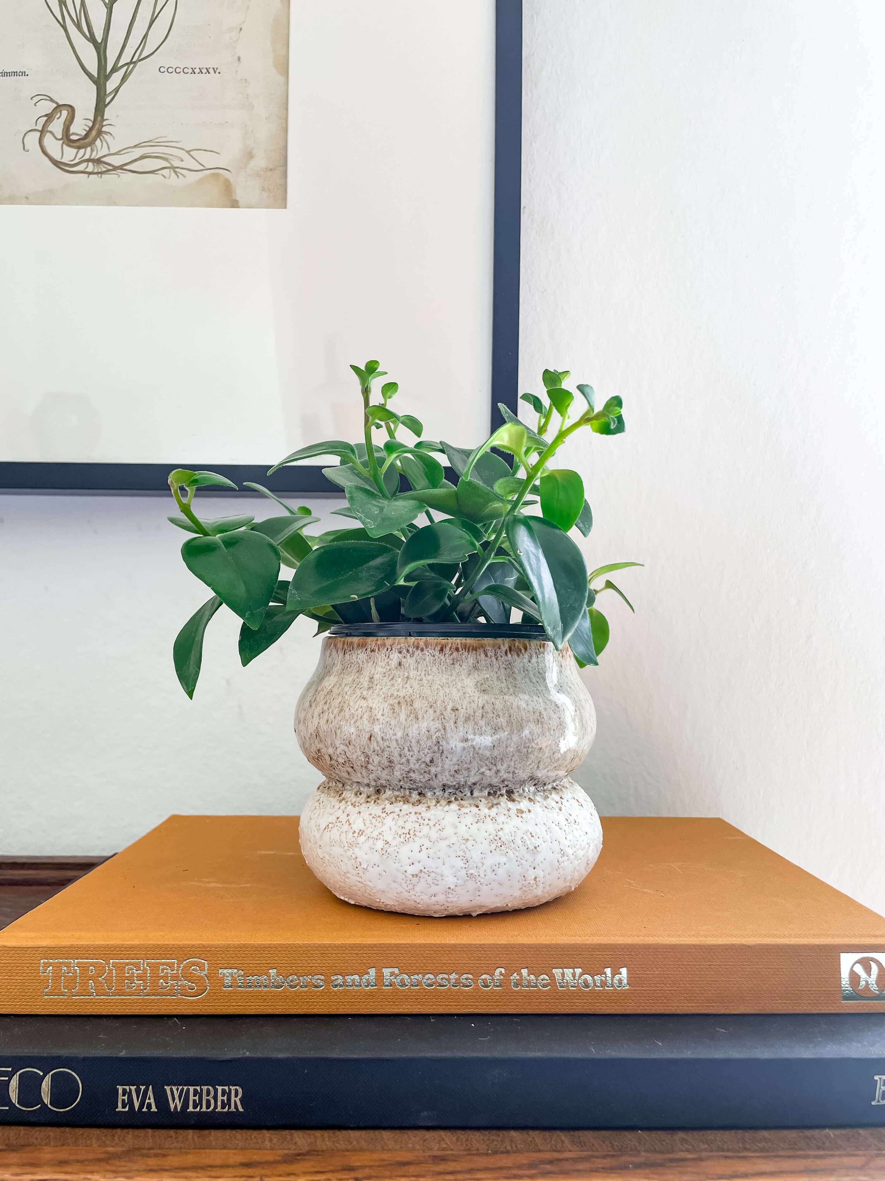 Hycroft Home Decor - Wholesale Plant Pot - Noemi Planter – Stacked Ceramic Pot with Drainage3