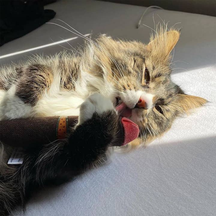 SmarterPaw | Meowijuana & Doggijuana – wholesale Pet toy – Cat – Catnip Cigar - Catnip & Valerian Root Filled Cat Toy6