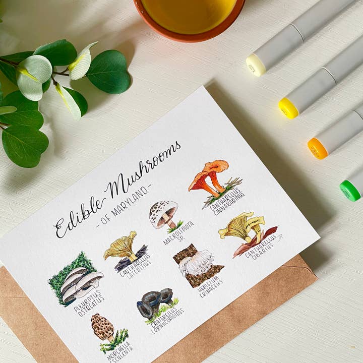 D. Prince Designs - Wholesale Art Print - Edible Mushrooms of Maryland | Recycled Cardstock Print