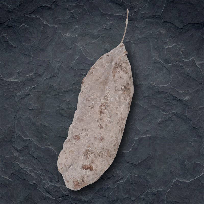 laboutiquedessaucissons – Engroshandel Salami – IGP Ardèche pølse1