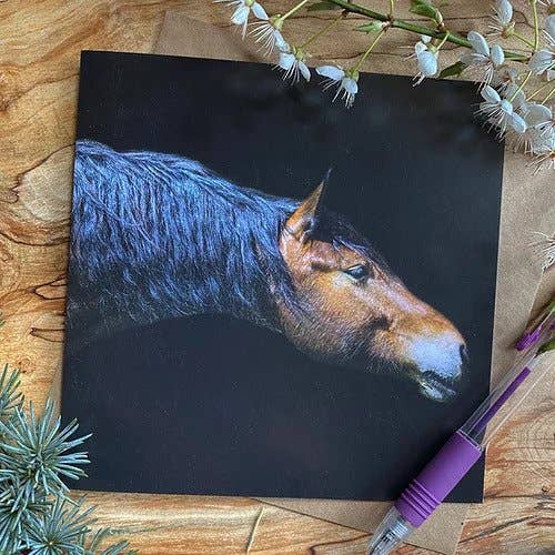 Horse Portrait Greeting Card for wholesale by Alex Sharp