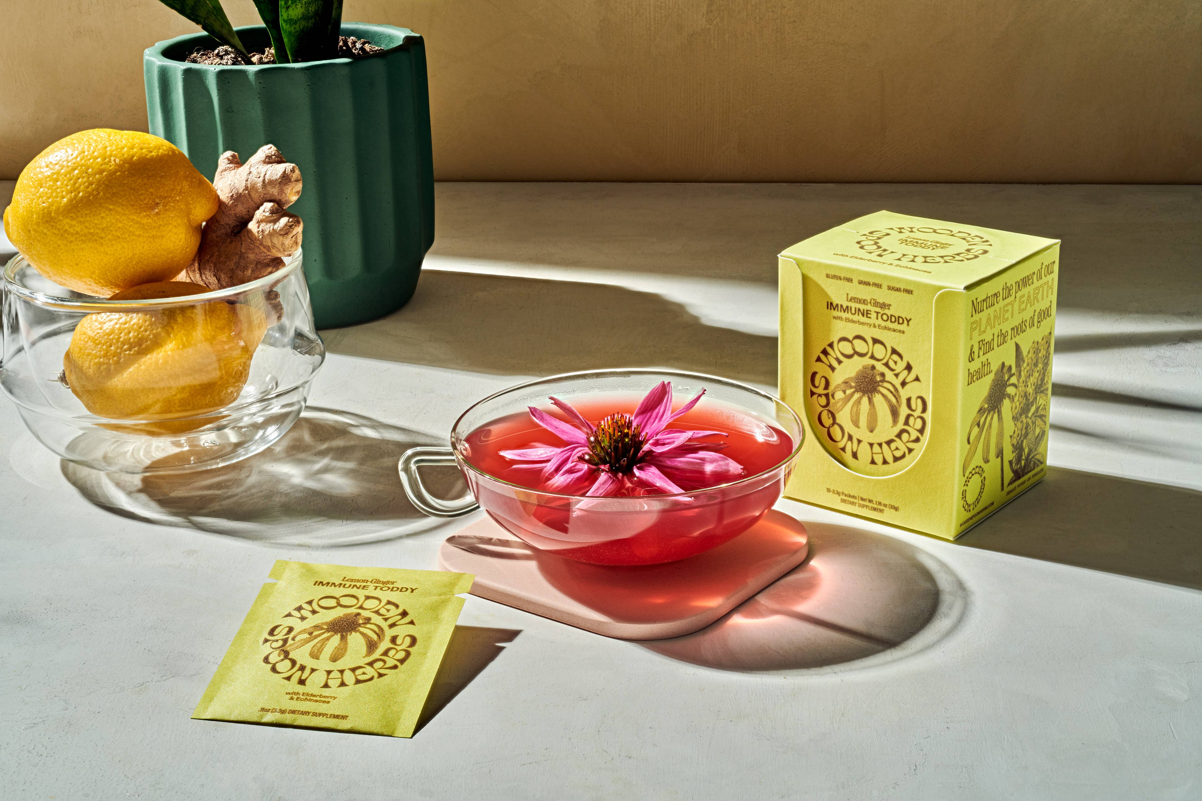 Wooden Spoon Herbs - Wholesale Oral Supplement/Vitamin - Lemon-Ginger Immune Toddy2