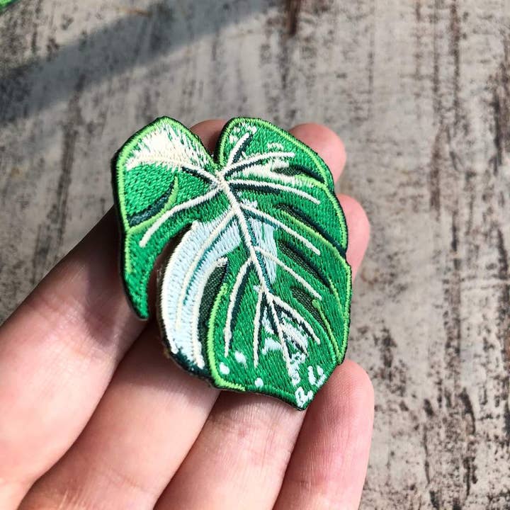 plantyintroverts – wholesale Patch – Monstera variegata Albo - embroidered patch embroidery