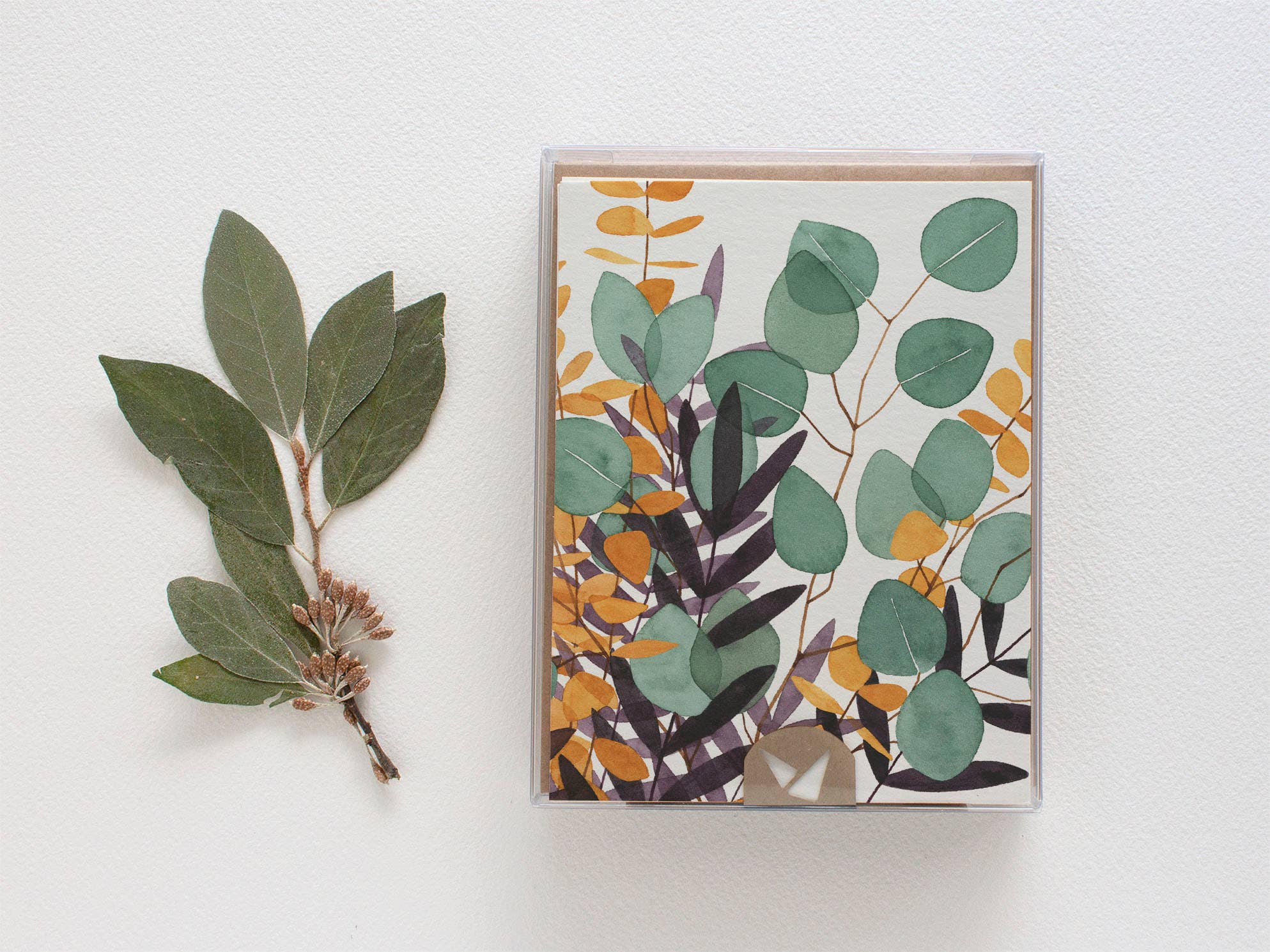 May We Fly - Vente Assortiments de papeterie/cartes - Eucalyptus Lot de 8 cartes de vœux1