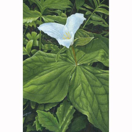 Resilience (notecard) for wholesale by Bonny Wagoner - Artist/Illustrator