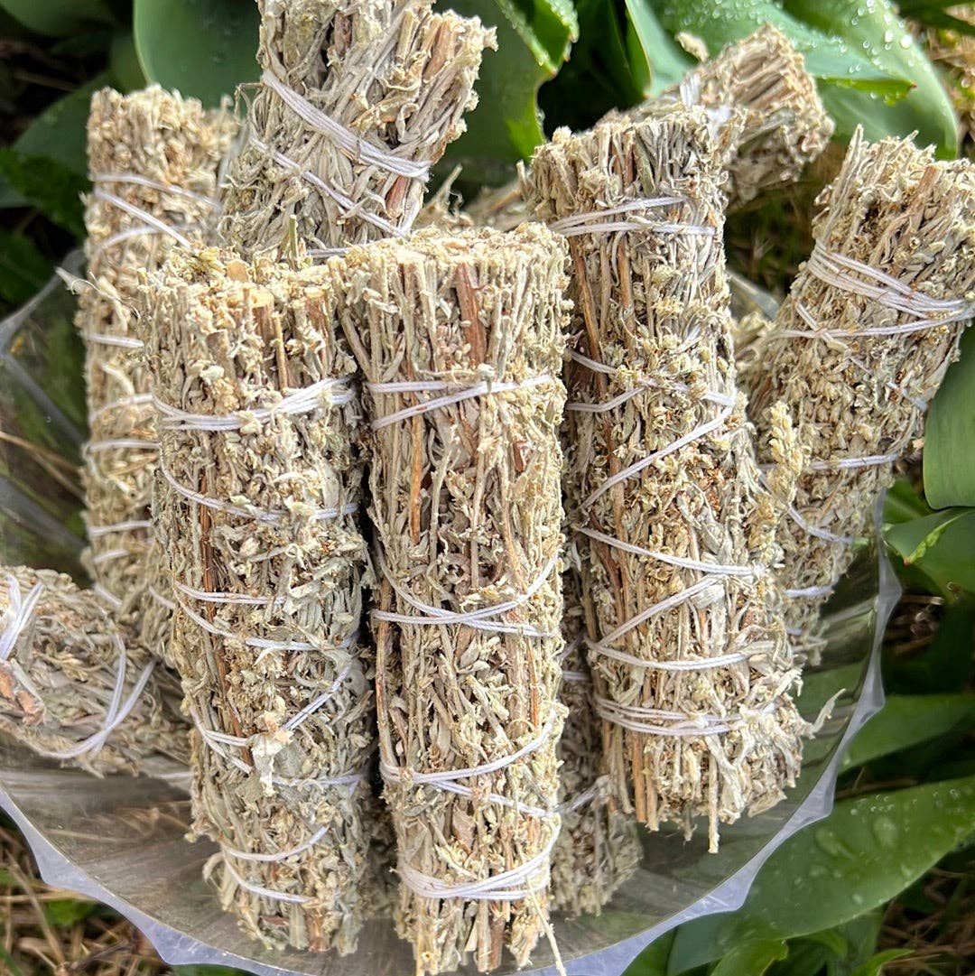 WHOLIFECO – wholesale Salviabunt – Svart Smudge Sage - Gråbo3