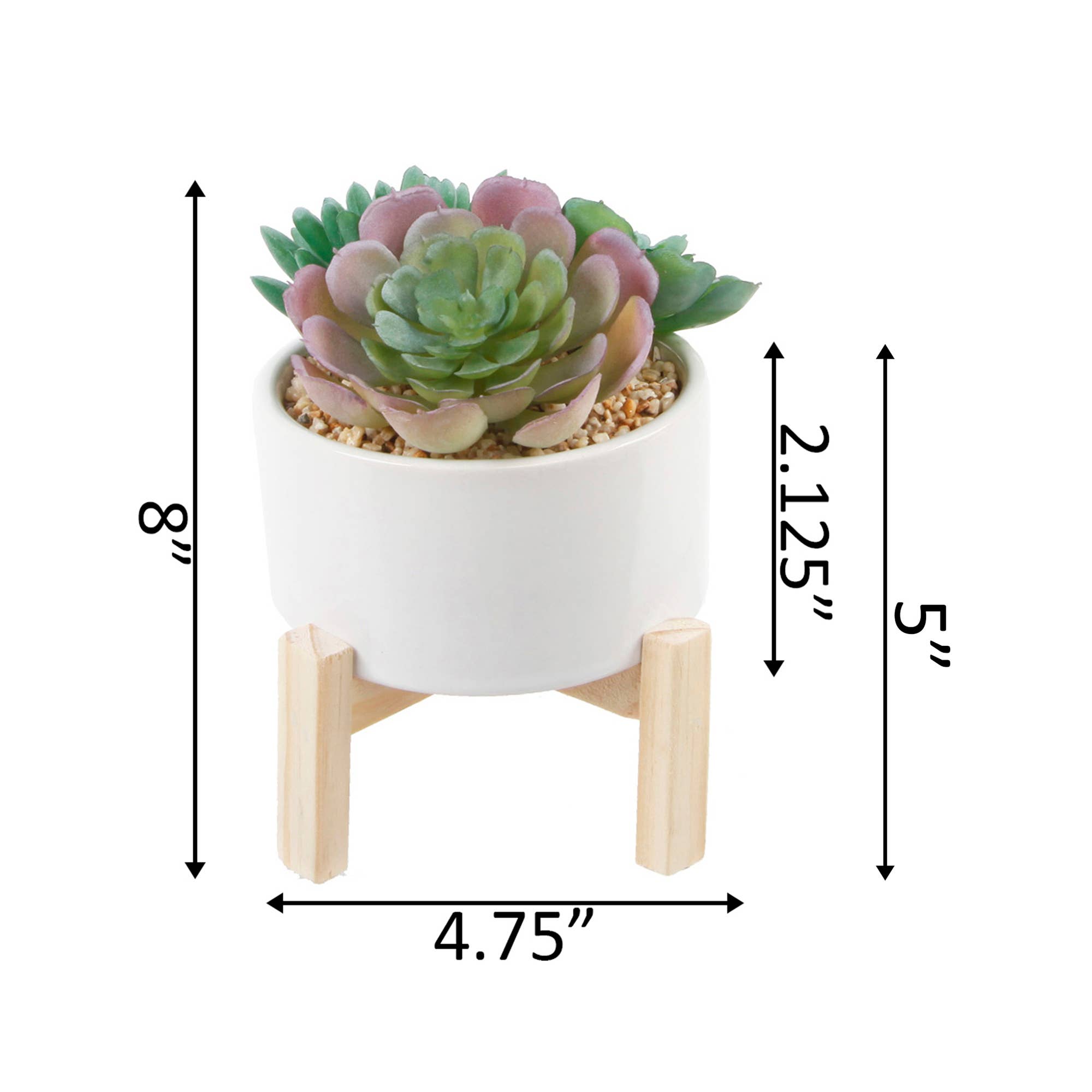 Flora Bunda Inc - Vendita all'ingrosso Pianta grassa - Finto succulento in vaso di ceramica su supporto in legno4