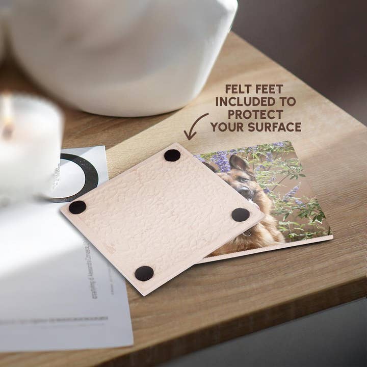 3dRose - Wholesale Coasters - 3dRose, German Shepherd., Coaster3