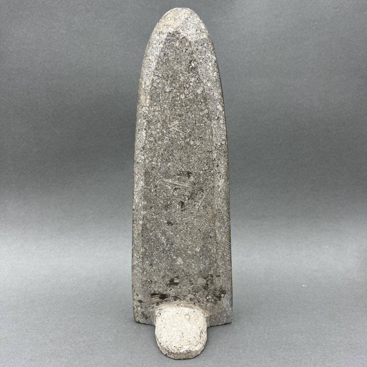 Crystal River Gems LLC - Wholesale Decorative Tabletop Object - Tall Orthoceras Fossil Standing Display Sculpture (1 Piece) Size 11 to 13 Inches Crystal Gemstone Home Decor1