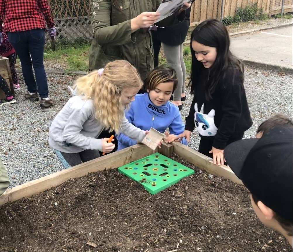 Seeding Square - Wholesale Garden Tool - SEEDING SQUARE Garden Spacing Template for Maximum Yield17