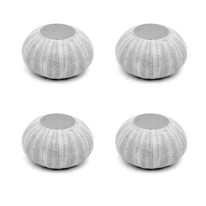 Housewares & Tabletops by Contrast Inc. - Wholesale Candle Holder - Sea Urchin Tealight Candle Holder1