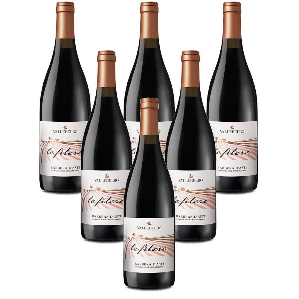 Metina SAS - Wholesale Red Wine - Le Filere Barbera D'Asti DOCG2